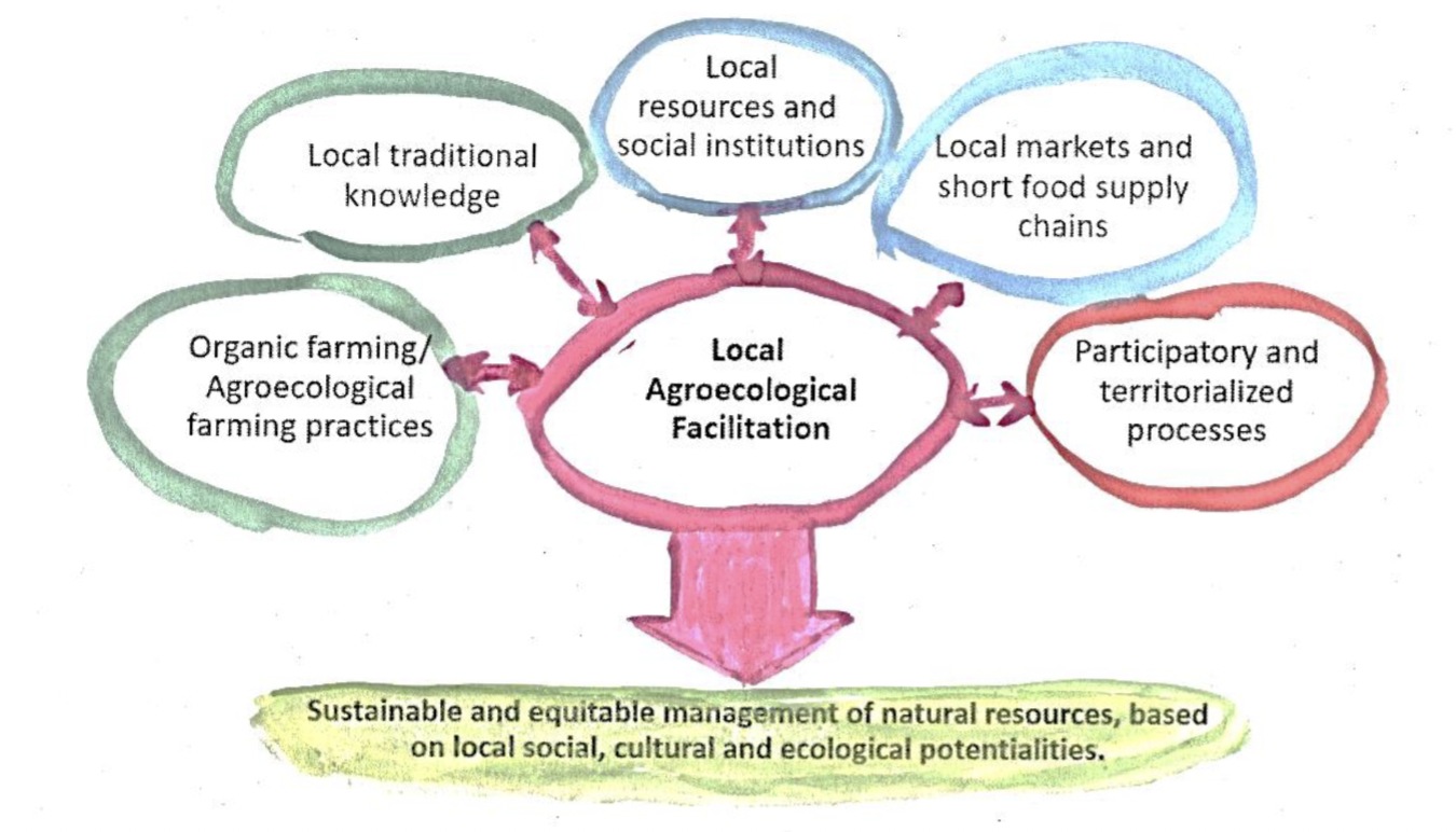 Towards Agroecological Futures