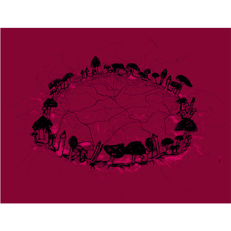 Knowledge is our Sweet Power: the Programme